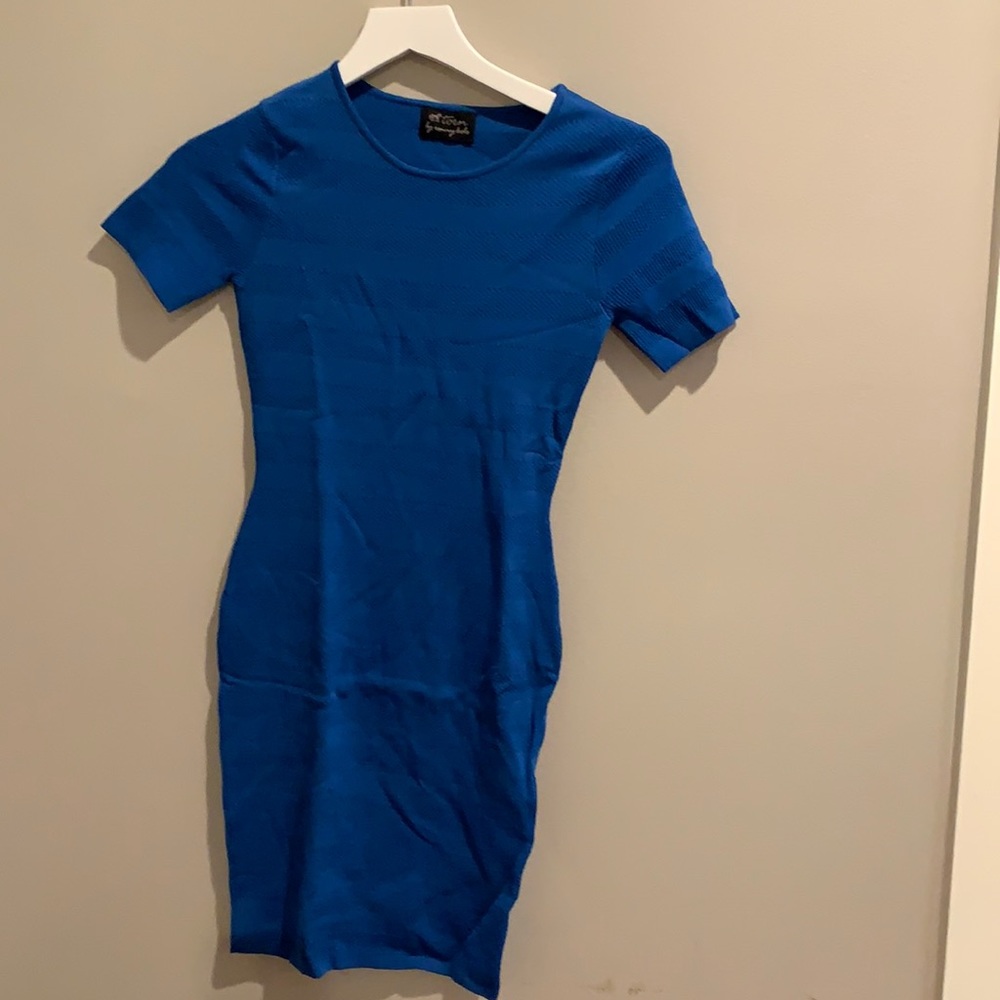 Torn by Ronny Kobo Blue fitted dress